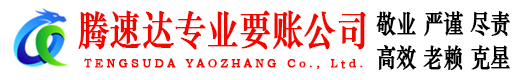 莘县要账公司